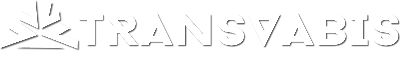 Transvabis